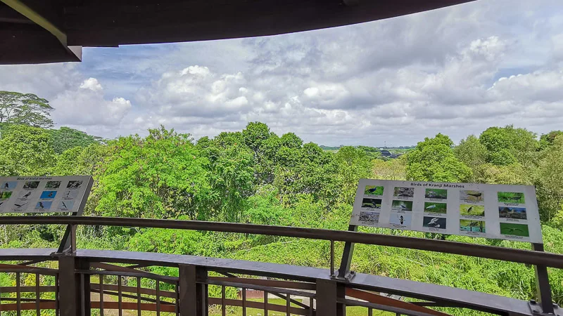 Kranji Marshes Singapore - Raptor Tower