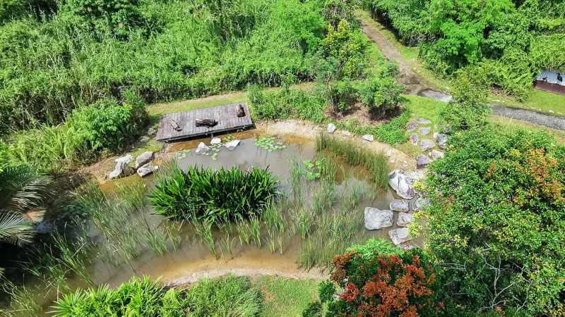 Kranji Marshes Singapore - Raptor Tower