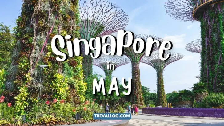 Visiting Singapore in May