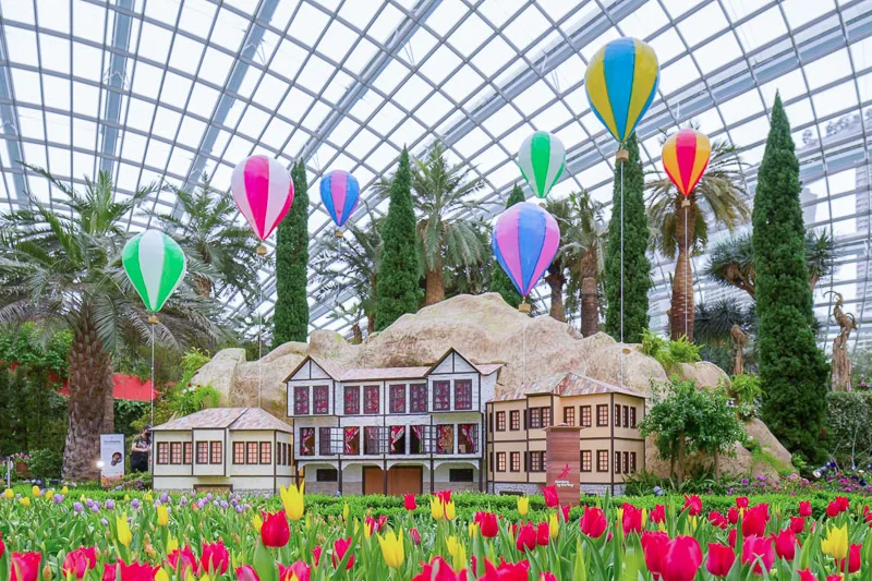 Visiting Singapore in May - Tulipmania at Gardens by the Bay