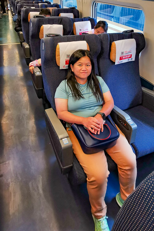 Beijing to Badaling High Speed Train - Train Interior