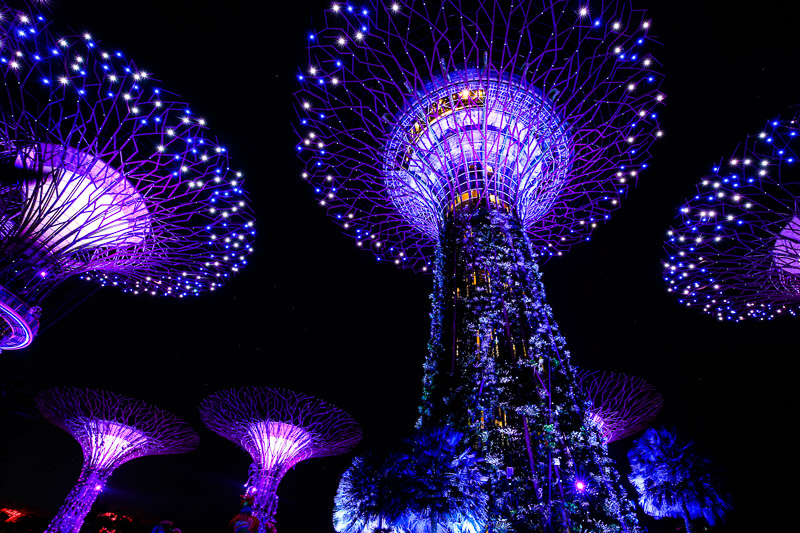 Singapore Christmas Wonderland 2023 - Garden Rhapsody light and sound show
