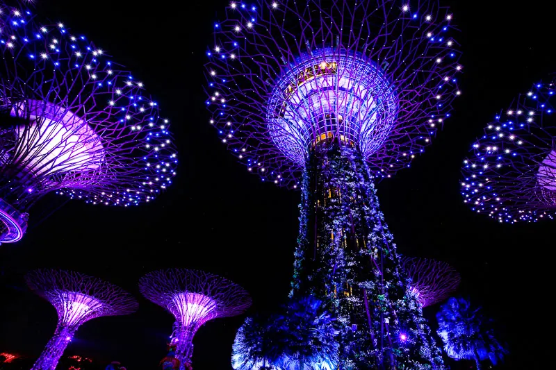 Singapore Christmas Wonderland 2023 - Garden Rhapsody light and sound show