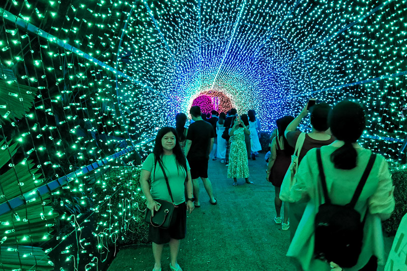 Singapore Christmas Wonderland 2023 - Walk of Lights