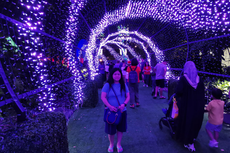 Singapore Christmas Wonderland 2023 - Walk of Lights