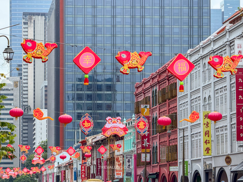 Chinatown Chinese New Year 2025 - Street Light Up and Decoration at Upper Cross Street