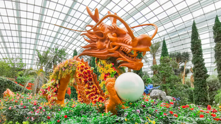 CNY 2024: Dahlia Dreams at Flower Dome, Gardens by the Bay