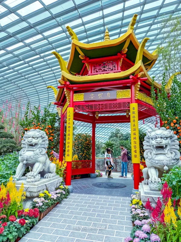 CNY 2025 - Chinese New Year Gardens by the Bay - Spring Blossoms at Flower Dome