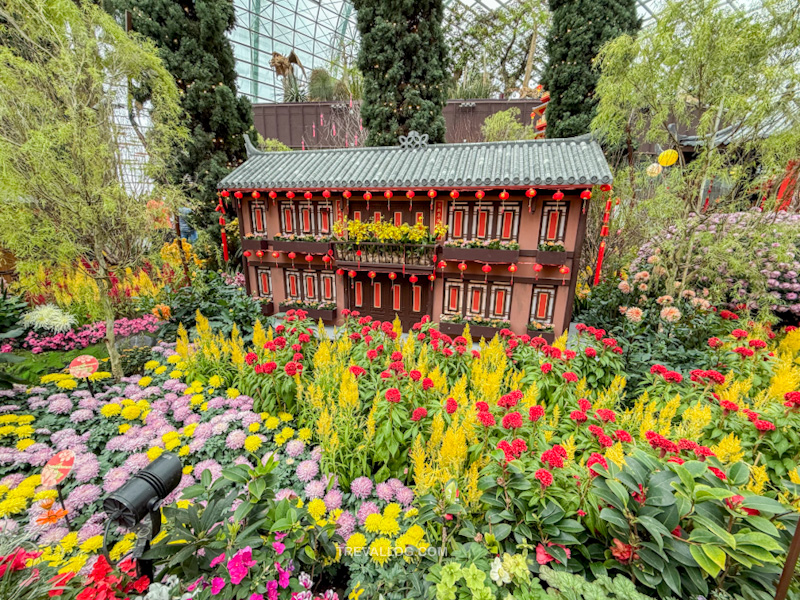 CNY 2025 - Chinese New Year Gardens by the Bay - Spring Blossoms at Flower Dome