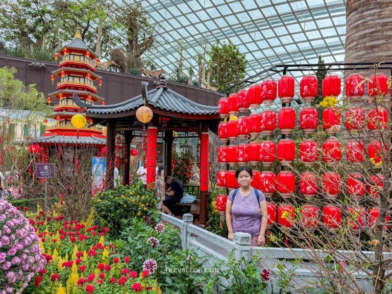 CNY 2025 - Chinese New Year Gardens by the Bay - Spring Blossoms at Flower Dome