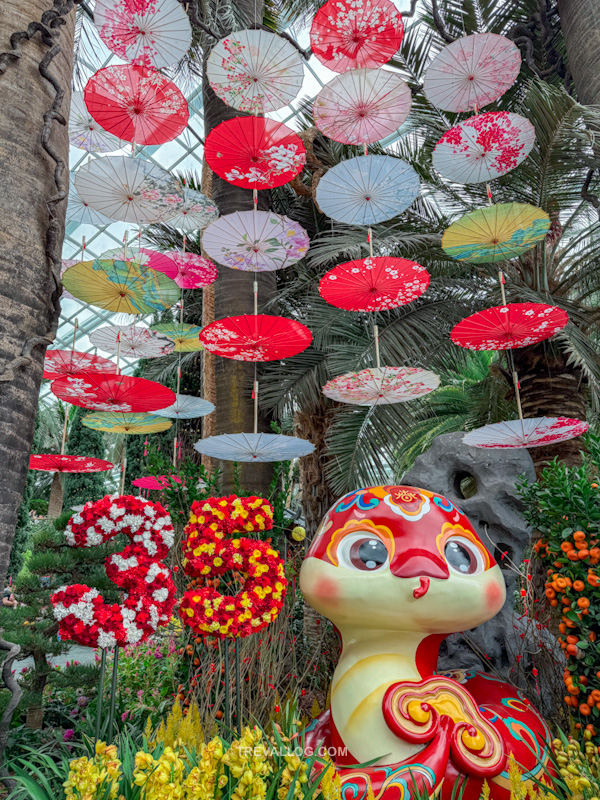 CNY 2025 - Chinese New Year Gardens by the Bay - Spring Blossoms at Flower Dome