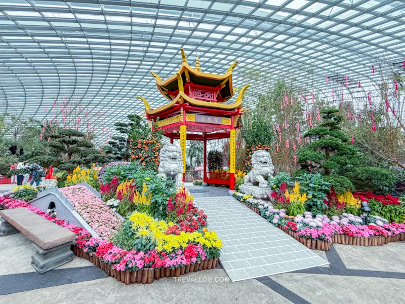 CNY 2025 - Chinese New Year Gardens by the Bay - Spring Blossoms at Flower Dome