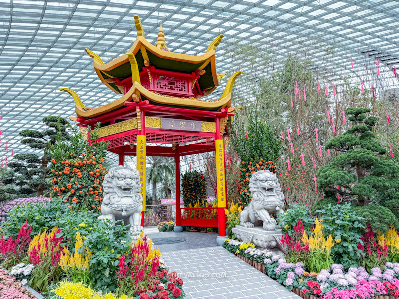 CNY 2025 - Chinese New Year Gardens by the Bay - Spring Blossoms at Flower Dome