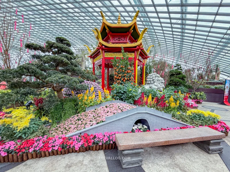 CNY 2025 - Chinese New Year Gardens by the Bay - Spring Blossoms at Flower Dome