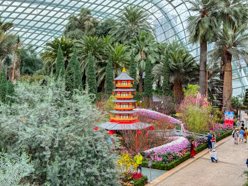 CNY 2025 - Chinese New Year Gardens by the Bay - Spring Blossoms at Flower Dome