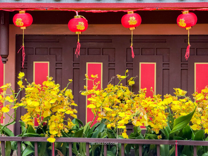 CNY 2025: Spring Blossoms - Legend of Lady White Snake at Flower Dome ...