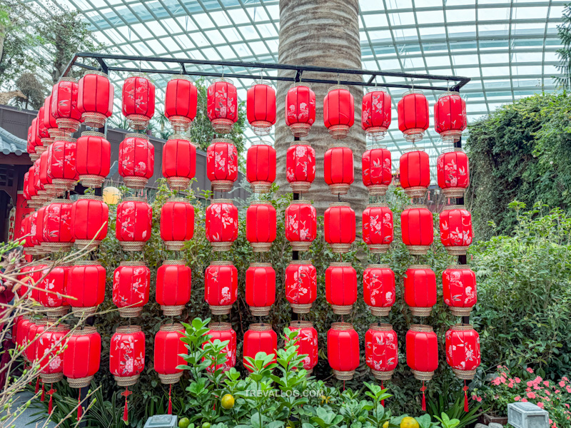 CNY 2025 - Chinese New Year Gardens by the Bay - Spring Blossoms at Flower Dome