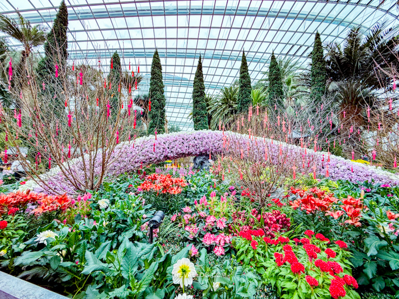 CNY 2025 - Chinese New Year Gardens by the Bay - Spring Blossoms at Flower Dome