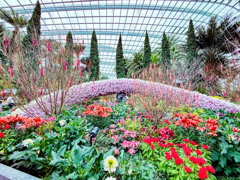 CNY 2025 - Chinese New Year Gardens by the Bay - Spring Blossoms at Flower Dome