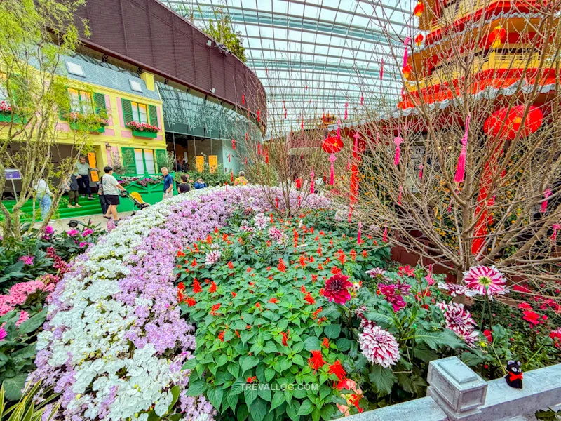 CNY 2025 - Chinese New Year Gardens by the Bay - Spring Blossoms at Flower Dome