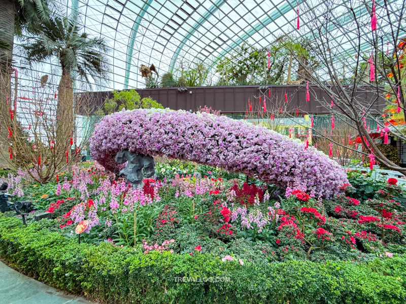 CNY 2025 - Chinese New Year Gardens by the Bay - Spring Blossoms at Flower Dome