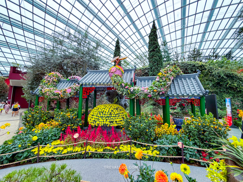 CNY 2025 - Chinese New Year Gardens by the Bay - Spring Blossoms at Flower Dome