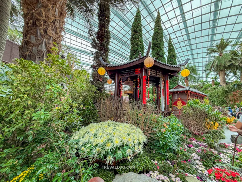 CNY 2025 - Chinese New Year Gardens by the Bay - Spring Blossoms at Flower Dome