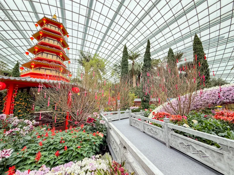 CNY 2025 - Chinese New Year Gardens by the Bay - Spring Blossoms at Flower Dome