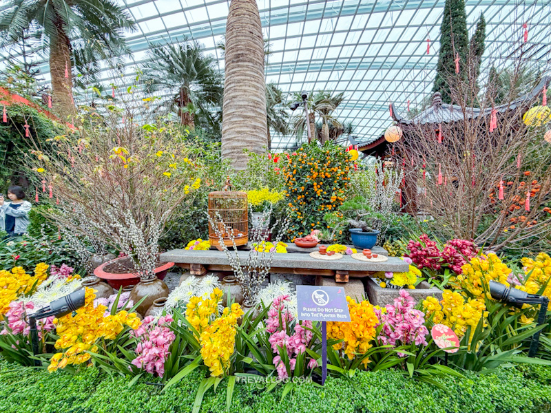 CNY 2025 - Chinese New Year Gardens by the Bay - Spring Blossoms at Flower Dome