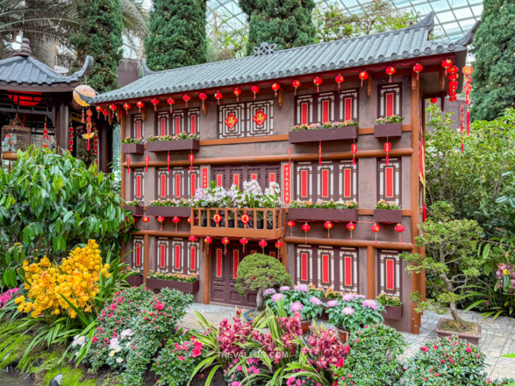 CNY 2025: Spring Blossoms - Legend of Lady White Snake at Flower Dome ...