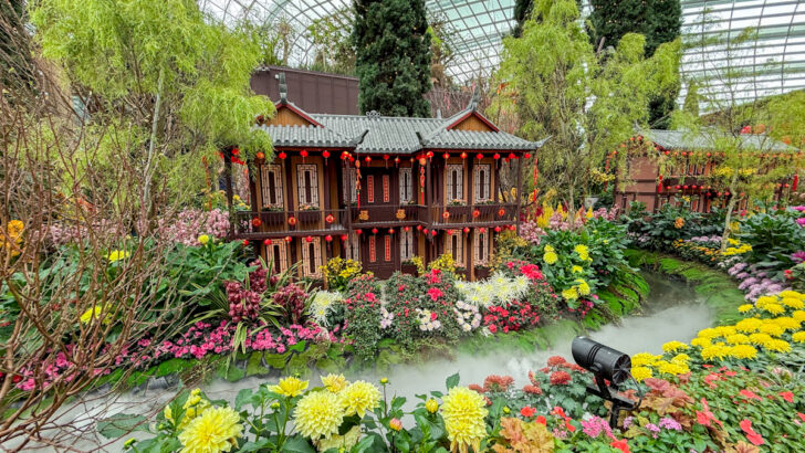 Indoor Toddler Friendly Spots in Singapore