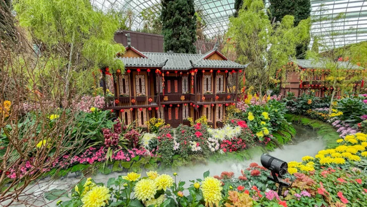 Indoor Toddler Friendly Spots in Singapore