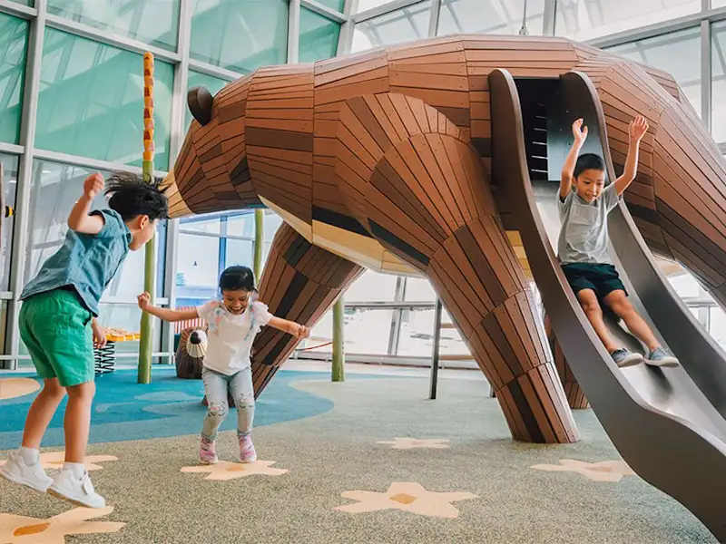 2 Bears Hideout Changi T2