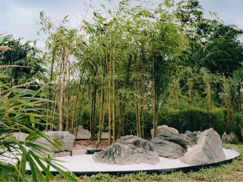 Bamboo Grove Changi T2