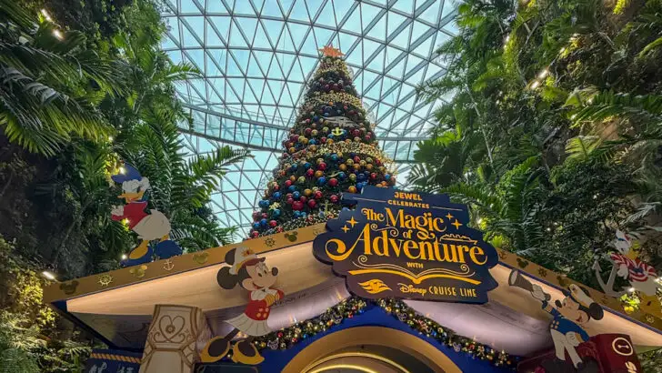 Jewel Changi Airport during Christmas