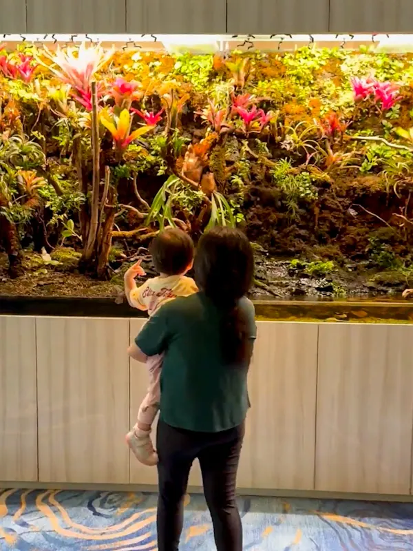 Terrarium - Changi Airport Terminal 1