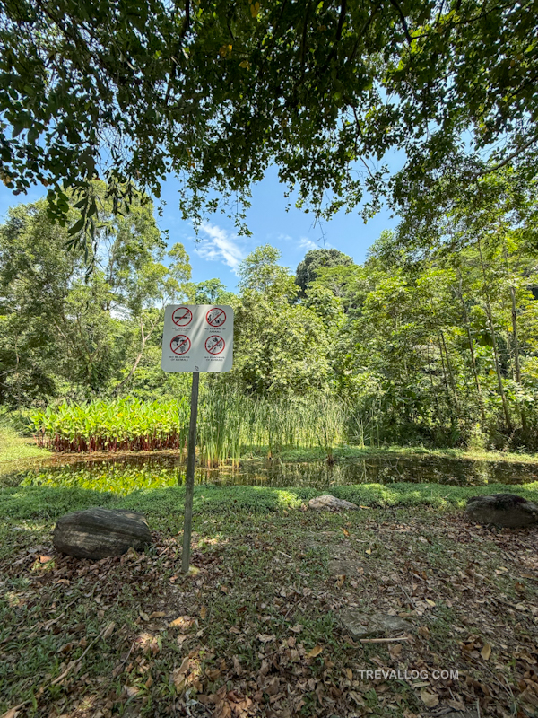 Labrador Nature Park - Dragonfly Pond on Port Road
